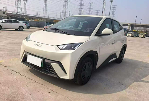 BYD Seagull 2025 305KM Vitality Edition