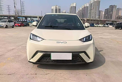 BYD Seagull 2025 305KM Vitality Edition