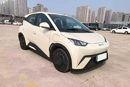 BYD Seagull 2025 305KM Vitality Edition