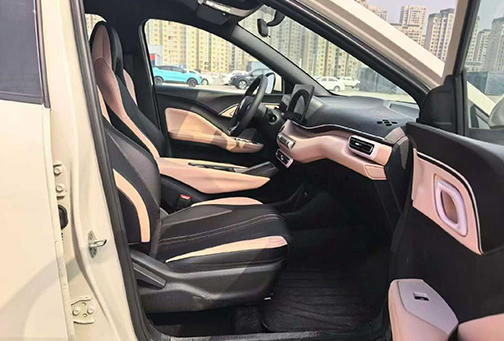 BYD Seagull 2025 305KM Vitality Edition