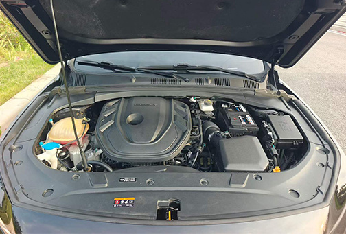 Geely Xingrui 2021 2.0TD Luxury+ Edition